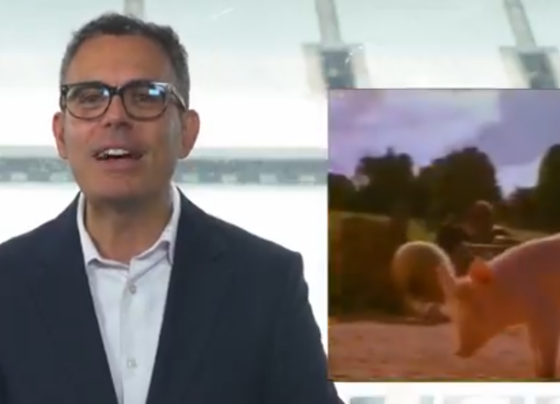 CNN Brasil