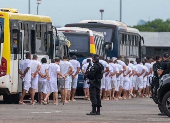 Saidão de Natal 2024 - Metrópoles