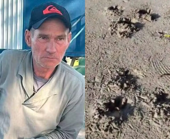 Imagem colorida, Saiba quem era caseiro que morreu após ser atacado por onça no MS