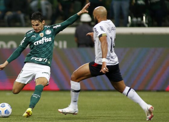Imagem colorida de Sport e Palmeiras