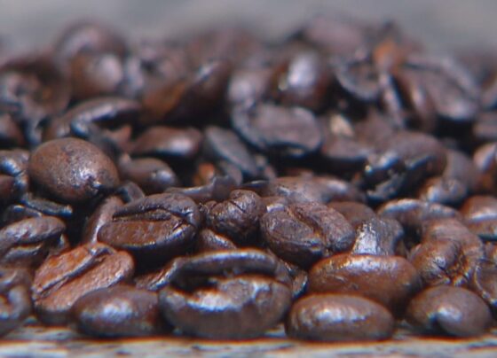 Café sofre quarto aumento consecutivo e atinge maior valor da série histórica. (Foto: João Carlos Corrêa)