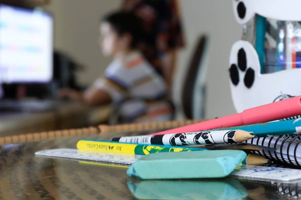 Impactos da pandemia do novo coronavírus no ensino e na educação brasileira. Brasília(DF), 25/11/2020