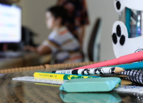 Impactos da pandemia do novo coronavírus no ensino e na educação brasileira. Brasília(DF), 25/11/2020