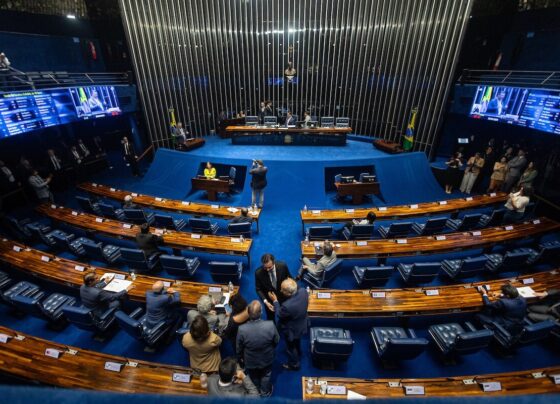 imagem colorida mostra plenário do senado federal - metrópoles