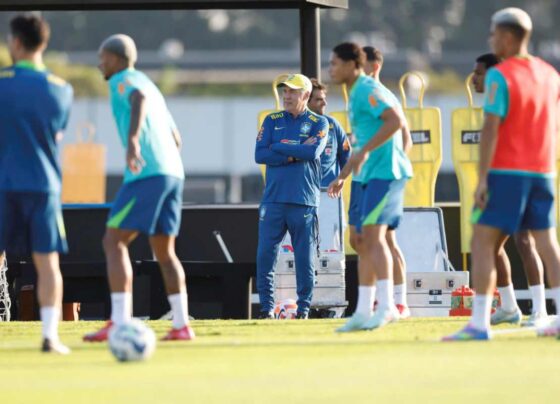 Treinador é o novo comandante do Brasil